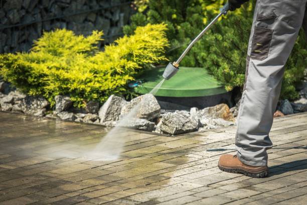 Best Driveway Pressure Washing  in Crocker, WA